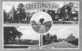 Greetings from Potter Street, Essex. c.1920's