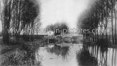 Bridge and River Stort, Harlow, Essex. c.1905