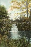 The Waterfall, Harlow, Essex. c.1906