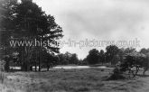 Lake and Shell House, Hatfield Forest, Essex. c.1940's