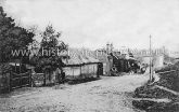 Feathers Hill, Hatfield Broad Oak, Essex. c.1910