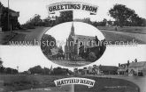 Views of Hatfield Heath, Essex. c.1920's