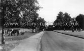 A View of Havering Atte Bower, Essex. c.1950's
