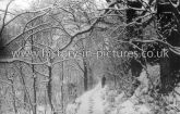 The Dell in Winter, Hornchurch, Essex. c.1911