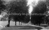 The Avenue, Woodford Green, Essex. c.1916