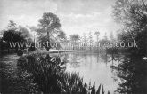 American Garden, Valentines Park, Ilford, Essex. c.1910