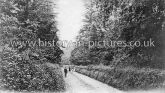 Hollow Road, Kelvedon , Essex. c.1905