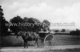 The Front Chase, Highlands Farm, Mayland, Essex. 1930's