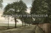 The Walls, Mistley, Essex. c.1906
