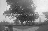 The Oak Tree, Rivenhall, Essex. c.1910