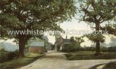 The Oak Tree, Rivenhall, Essex. c.1907