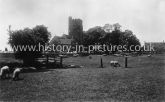 St. Andrew's Church, Hall and Golf Links, Rochford, Essex. c.1950's