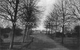 The Common, Shenfield, Essex. c.1917
