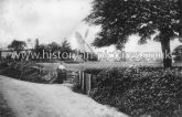 The Mill, Terling, Essex. c.1918