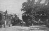 The Avenue Road, Witham, Essex. c.1920's