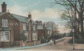Avenue Road, Witham, Essex. c.1906