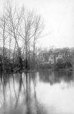 A View from the Pond, Herongate, Essex. c.1905