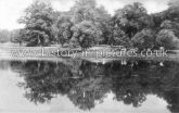 The Pond, Takeley Forest, Essex. c.1908