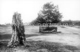 Kings Oak, High Beech, Epping Forest, Essex. c.1915
