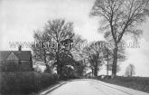 The Brewery and Colchester Road, West Bergholt, Essex. c.1905