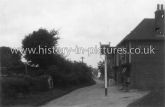 The Crown and Street, Lt Chesterford, Essex. c.1920's
