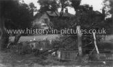 Rose Farm, Chadwell Heath, Essex. c.1915