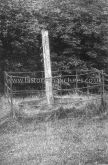 The Village Stocks, Gt Canfield, Essex. c.1905