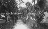 The Avenue in Churchyard, Halstead, Essex. c.1917