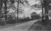 Latton Street, Harlow, Essex. c.1930's