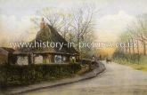 London Road, Harlow, Essex. c.1909