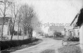 The Village, Gt Sampford, Essex. c.1918