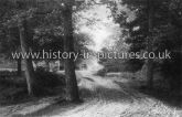 The Stump Road, Epping Forest, Essex. c.1910
