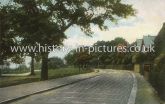 Sunset Avenue & Golf Links, Woodford Green, Essex. c.1907