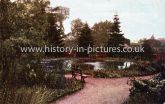 Public Gardens, Braintree, Essex. c.1908