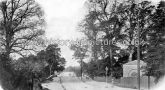 Blacks Bridge Road, Romford, Essex. c.1904