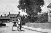 The Station, Rayleigh, Essex. c.1905