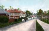 High Road, Theydon Bois, Essex. c.1910