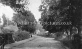 The Village, Hatfield Peverel, Essex. c.1904