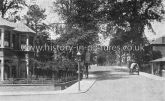 The Drive, Cranbrook Park, Ilford, Essex. c.1904