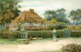 A Cottage in Epping Forest, Essex. c.1909