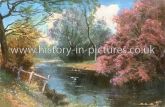 May Time on the The River Ching, Epping Forest, Essex. c.1908
