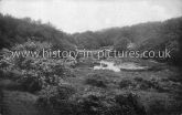 A View from Baldwins Hill, Epping Forest, Essex. c.1920
