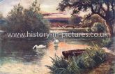 Connaught Water, Epping Forest, Essex. c.1905