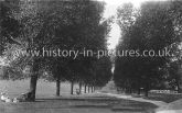 The Avenue, Woodford Green, Essex, c.1915