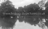 The Pond, Woodford Green, Essex, c.1912
