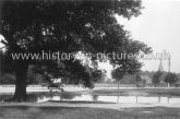 Pond & High Road, Woodford Green, Essex, c.1906