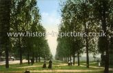 The Avenue, Woodford Green, Essex. c.1905