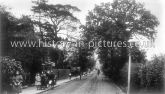 Snakes Lane, Woodford Green, Essex. c.1914