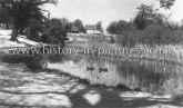 Warren Pond, Chingford, London. c.1920's.