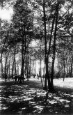Wanstead Park, Wanstead, London. c.1915